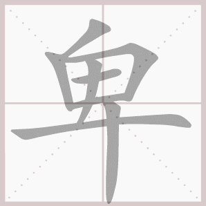 卑的笔顺,卑字笔顺
