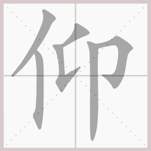 仰的笔顺,仰字笔顺