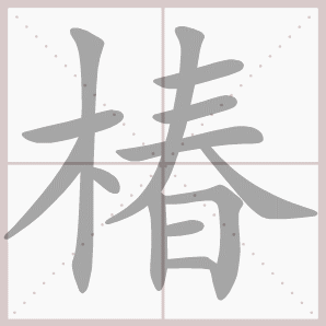 椿的笔顺,椿字笔顺