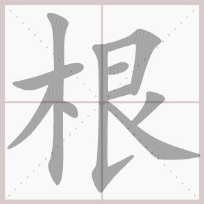根的笔顺,根字笔顺