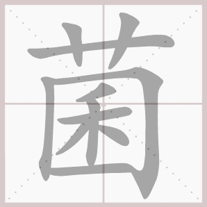 菌的笔顺,菌字笔顺