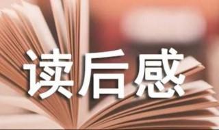 大闹天宫读后感 这样写不会错