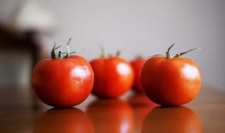 冬天种植西红柿怎么施肥 种植西红柿怎样施肥