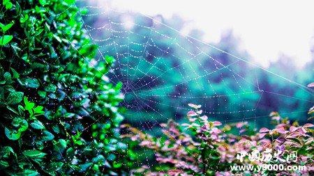 梅雨季节是什么时候 梅雨季节是什么时候2022