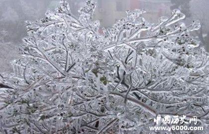 冻雨的成因危害及其预防措施（冻雨产生的危害）