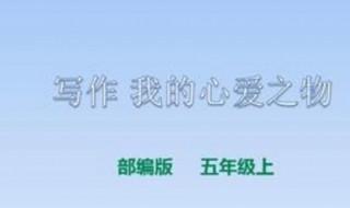 我的心爱之物作文300字 我的心爱之物作文300字范文示例