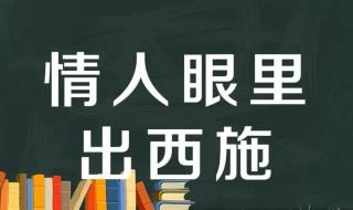 情人眼里出西施是什么意思 情人眼里出西施意思解释