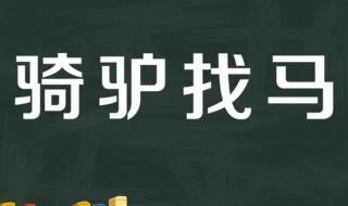 骑驴找马是什么意思 骑驴找马是褒义词吗