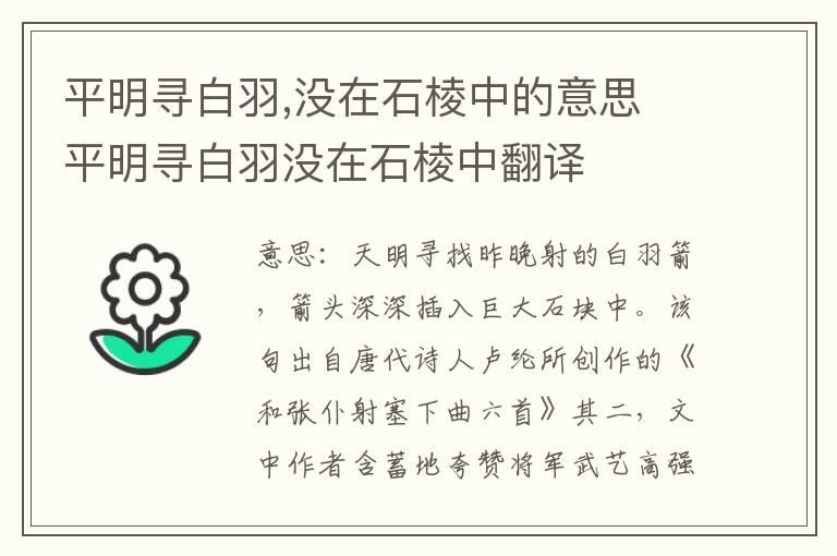 平明寻白羽,没在石棱中的意思 平明寻白羽没在石棱中翻译