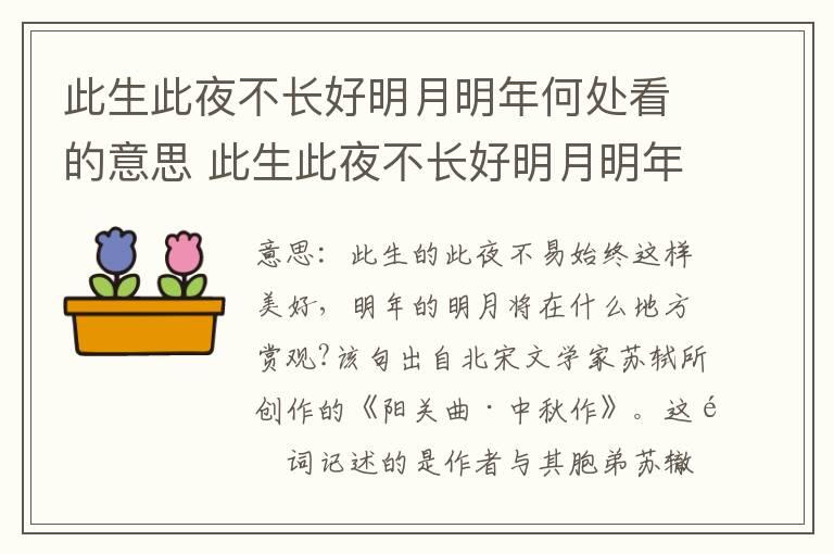 此生此夜不长好明月明年何处看的意思 此生此夜不长好明月明年何处看的翻译