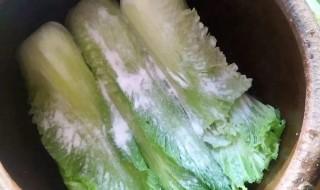 酸菜的泡制方法 酸菜的泡制方法是什么