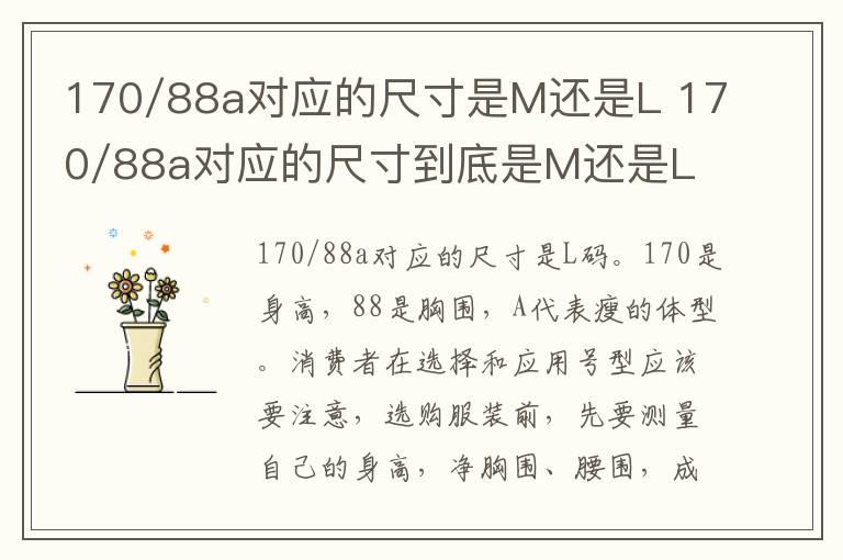 170/88a对应的尺寸是M还是L 170/88a对应的尺寸到底是M还是L