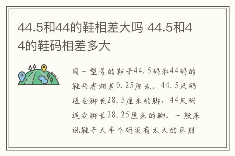 44.5和44的鞋相差大吗 44.5和44的鞋码相差多大