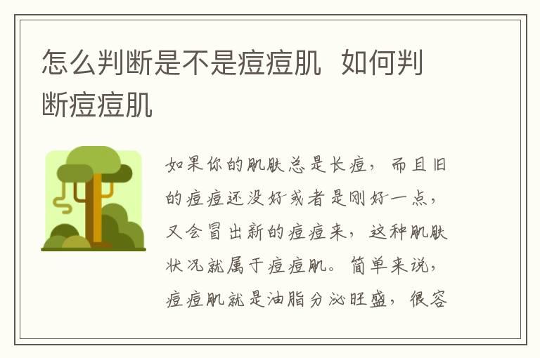 怎么判断是不是痘痘肌  如何判断痘痘肌