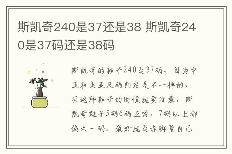 斯凯奇240是37还是38 斯凯奇240是37码还是38码