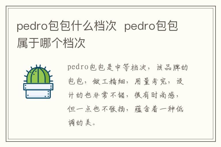 pedro包包什么档次  pedro包包属于哪个档次