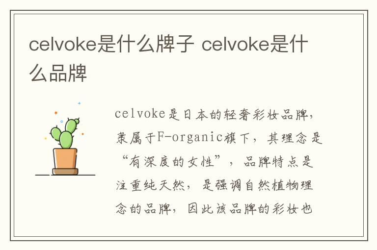 celvoke是什么牌子 celvoke是什么品牌