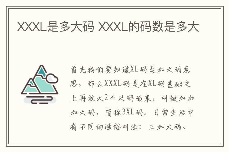 XXXL是多大码 XXXL的码数是多大