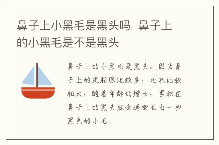 鼻子上小黑毛是黑头吗  鼻子上的小黑毛是不是黑头