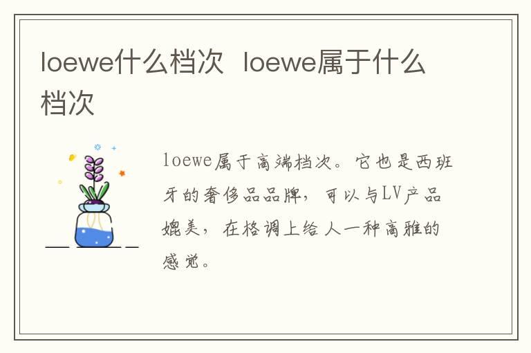 loewe什么档次  loewe属于什么档次