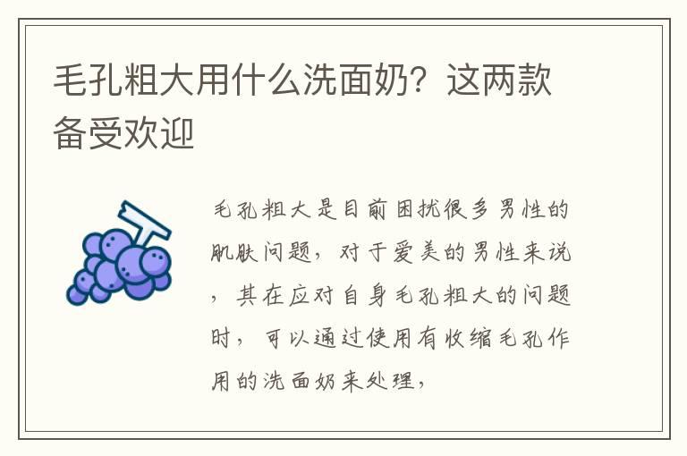 毛孔粗大用什么洗面奶？这两款备受欢迎