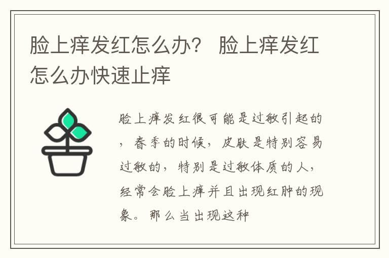 脸上痒发红怎么办？ 脸上痒发红怎么办快速止痒