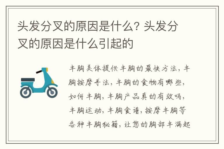 头发分叉的原因是什么? 头发分叉的原因是什么引起的