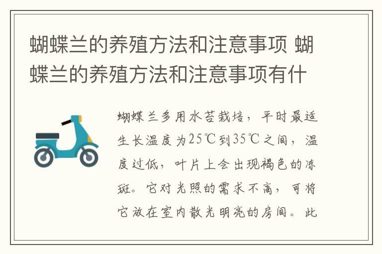 蝴蝶兰的养殖方法和注意事项 蝴蝶兰的养殖方法和注意事项有什么