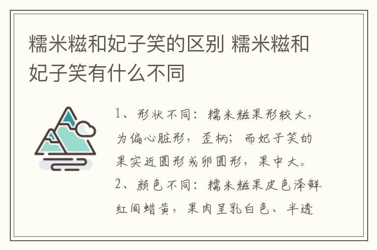 糯米糍和妃子笑的区别 糯米糍和妃子笑有什么不同