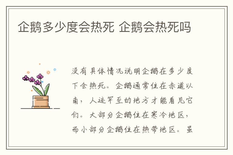 企鹅多少度会热死 企鹅会热死吗