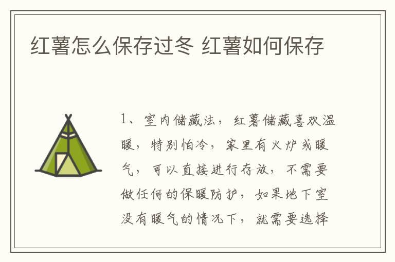 红薯怎么保存过冬 红薯如何保存