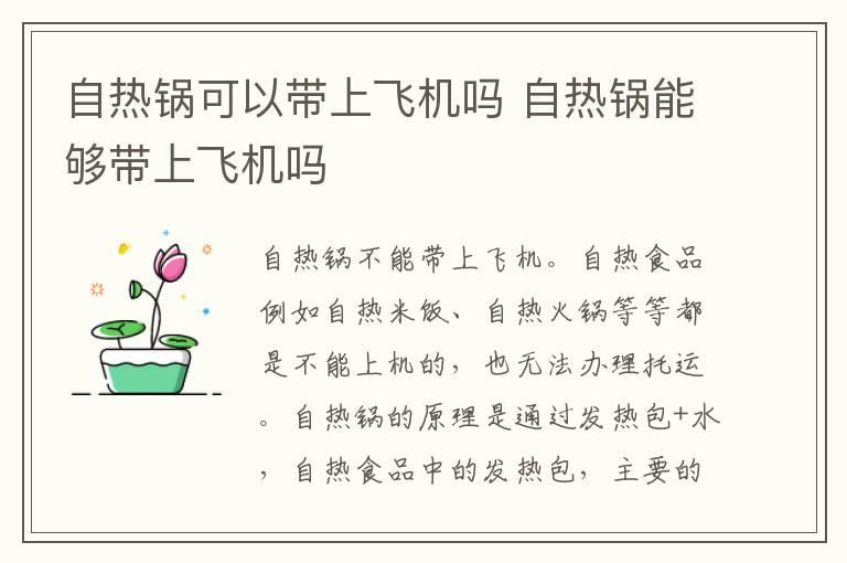 自热锅可以带上飞机吗 自热锅能够带上飞机吗