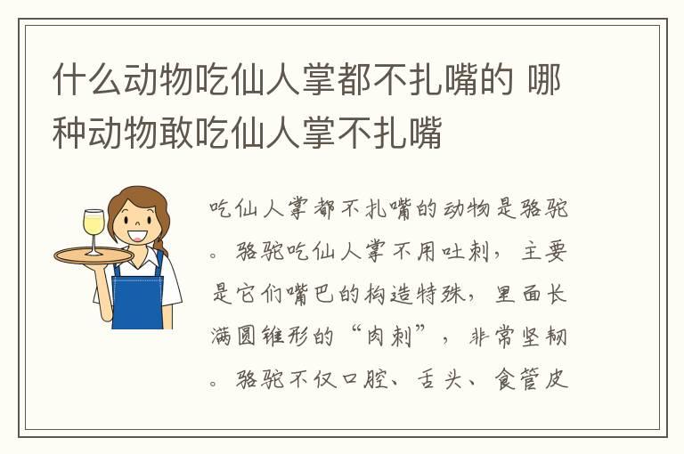 什么动物吃仙人掌都不扎嘴的 哪种动物敢吃仙人掌不扎嘴