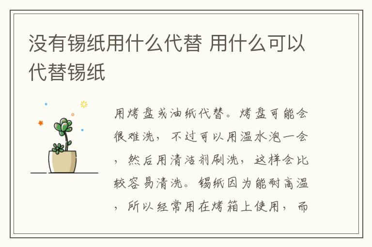 没有锡纸用什么代替 用什么可以代替锡纸