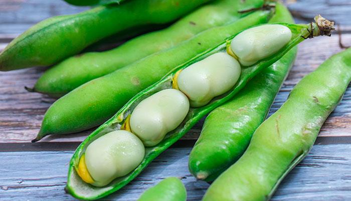 含铁的食物和水果蔬菜